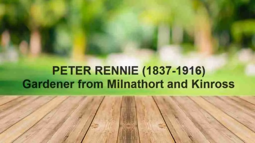 Image for Peter Rennie - gardener from Milnathort & Kinross b1837 d1916