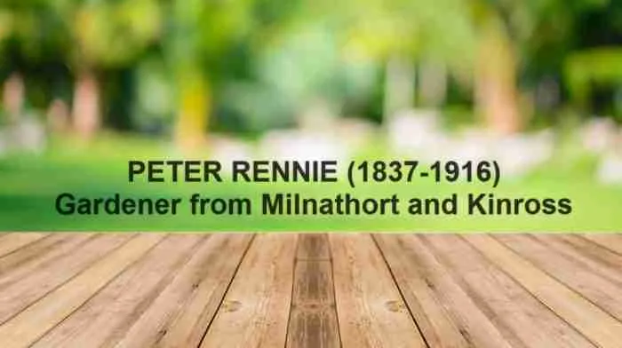 Image for Peter Rennie - gardener from Milnathort & Kinross b1837 d1916