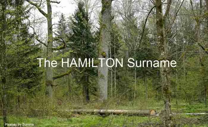 The Hamilton surname