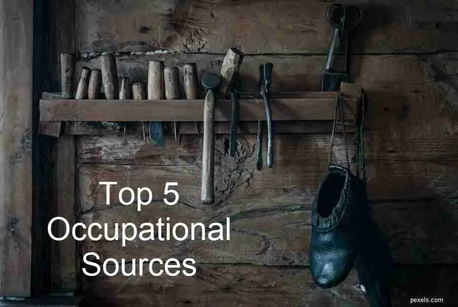 top 5 occupational sources for family history