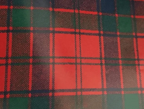 One of the Robertson clan tartans with red, green and blue colours